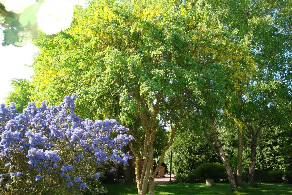 Au Jardin D'Eloise Bed & Breakfast Tremereuc Bagian luar foto